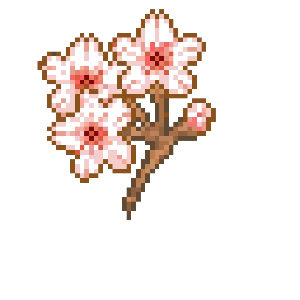 cherryblossom
